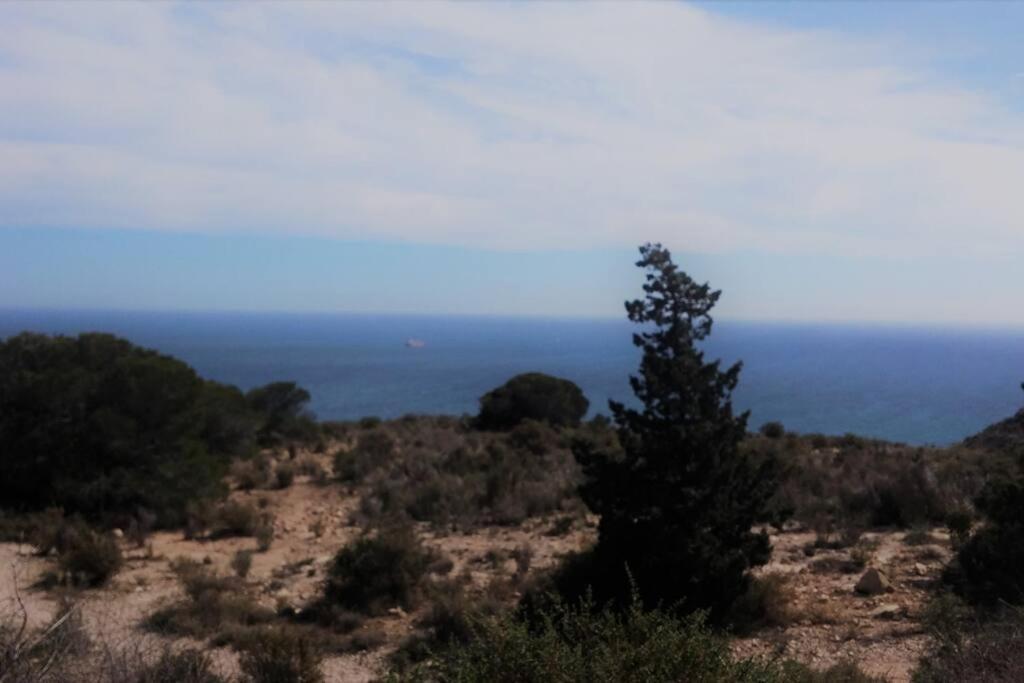 Modern Flat At Garbinet With Wifi Apartamento Alicante Exterior foto